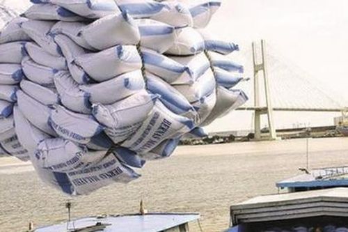 Thanh tra Chính phủ vào cuộc thanh tra về xuất khẩu gạo