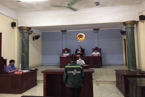 Lĩnh án vì môi giới cho người phụ nữ 61 tuổi bán dâm