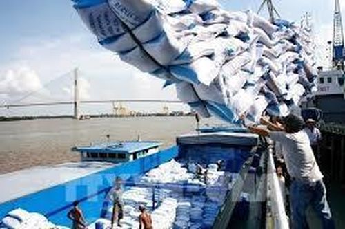 Thanh tra Chính phủ làm rõ có hay không 'dấu hiệu trục lợi' xuất khẩu gạo