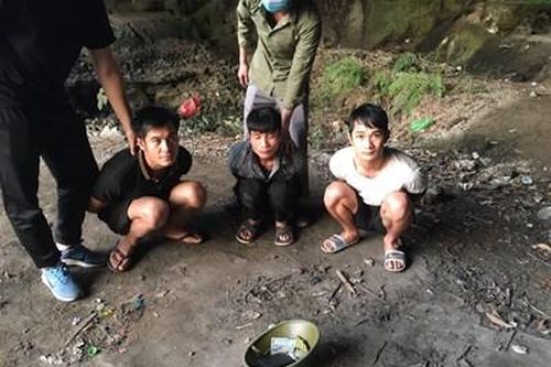 Chui vào hang Hổ sử dụng ma túy thì bị bắt