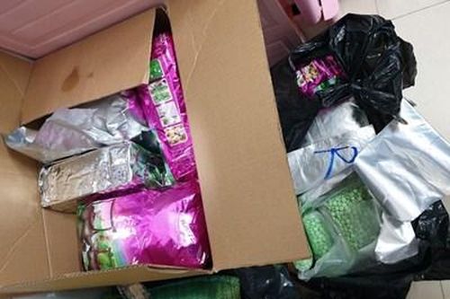 Triệt phá đường dây vận chuyển ma túy 'khủng' từ Campuchia về TP HCM