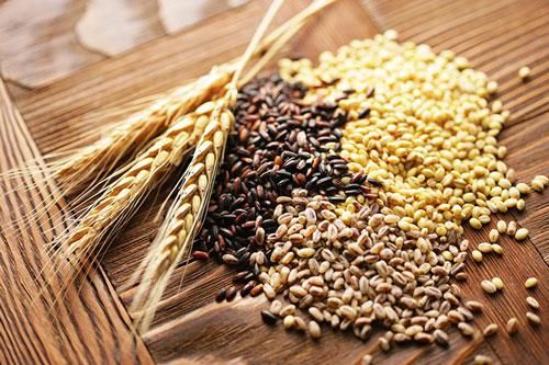 10 thực phẩm tốt nhất cho cơ thể săn chắc