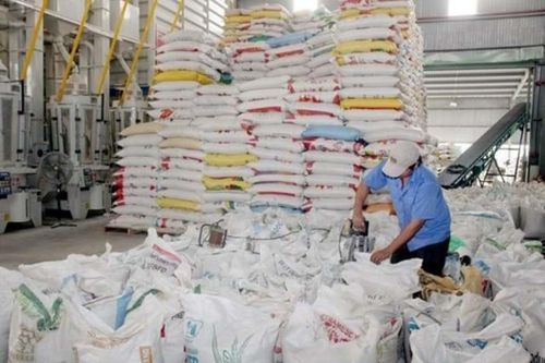 Thanh tra Chính phủ chính thức vào cuộc về việc quản lý xuất khẩu gạo