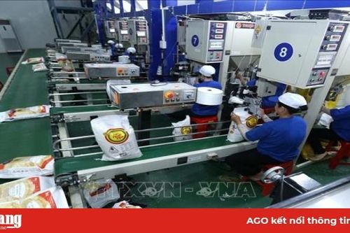 Thanh tra Chính phủ chính thức vào cuộc thanh tra về quản lý về xuất khẩu gạo