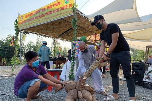 4 củ khoai mì nặng 74kg