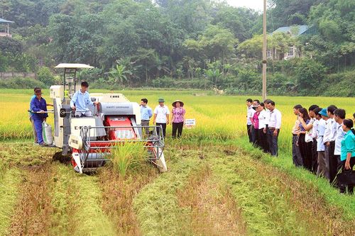 Nhân tố mới, lực lượng mới