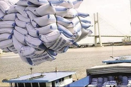 Lập đoàn thanh tra hoạt động xuất khẩu gạo
