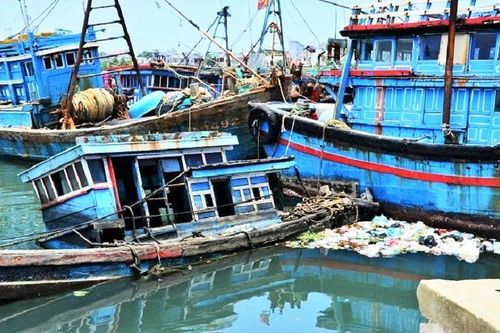Cận cảnh hàng chục tàu cá phơi xác nhiều năm tại cảng Sa Huỳnh