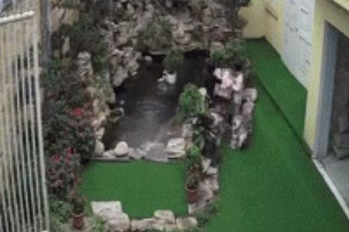 Khoảnh khắc đứa bé đang chơi bị trượt chân ngã xuống hồ cá khiến nhiều phụ huynh nín thở