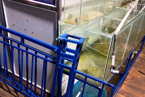 Bình Định: Tập trung điều tra, triệt phá băng nhóm 'khủng bố' doanh nghiệp