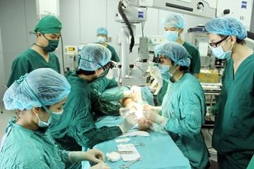 Vươn 'sải cánh' dài trong đào tạo và điều trị
