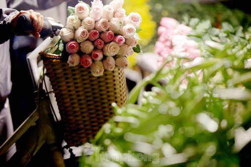 Chợ hoa đêm lớn nhất Thủ Đô vắng khách sau khi dỡ phong tỏa