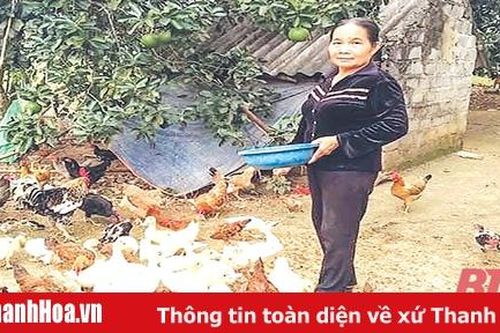 Vươn lên thoát nghèo nơi vùng đất khó