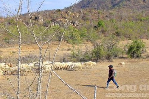 Kỳ cuối: Chống hạn bằng ý thức