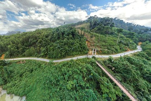 Ngẫm về ứng xử với thiên nhiên trong đại dịch