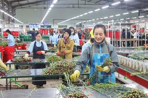 Tái cơ cấu để ứng phó rủi ro, phát triển bền vững