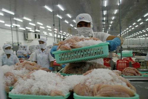 Mỹ giảm thuế chống bán phá giá cho cá tra Việt Nam