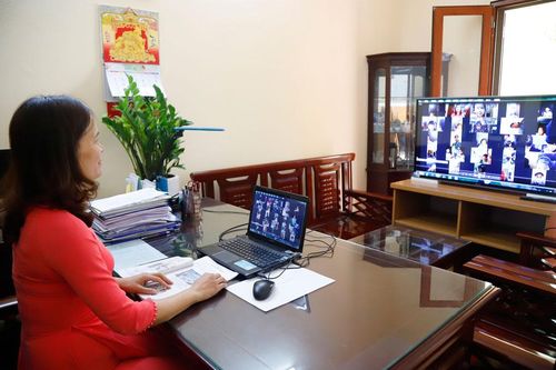 Mầm sống vẫn sinh sôi trong dịch bệnh