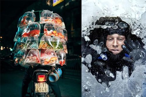 'Chân dung phía sau người bán cá cảnh ở Hà Nội ' chiến thắng 36.000 bức ảnh quốc tế