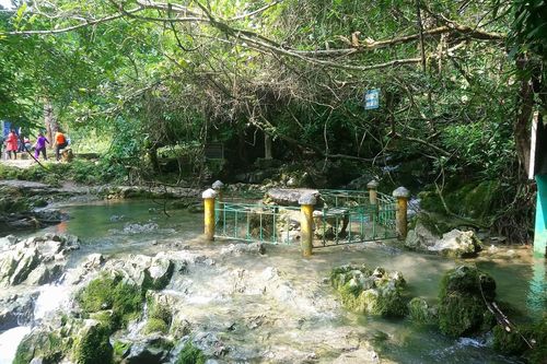 Một số địa phương đưa hoạt động đón khách tham quan, du lịch trở lại
