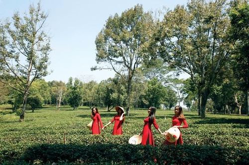 Khám phá khu du lịch sinh thái Mỹ Lệ