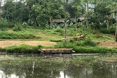 Đề nghị xem xét, đình chỉ hoạt động xả thải vượt quy chuẩn cho phép ra môi trường
