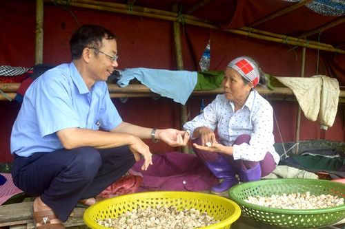 Chuyện kỹ sư xây dựng nuôi ốc nhồi