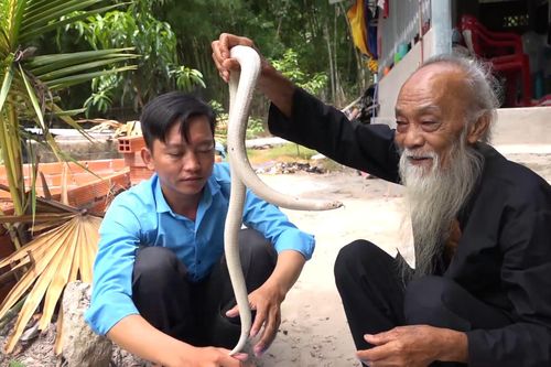 Cụ ông ở An Giang nuôi 'bạch xà' làm thú cưng