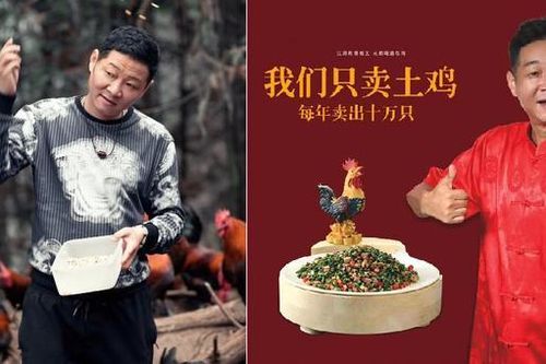 Nam diễn viên Trung Quốc rời bỏ showbiz, về quê nuôi gà