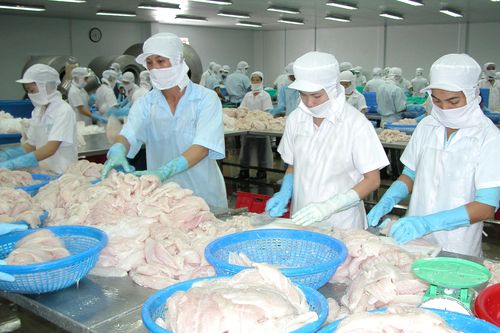 Hoa Kỳ giảm thuế cho doanh nghiệp xuất khẩu cá tra của Việt Nam
