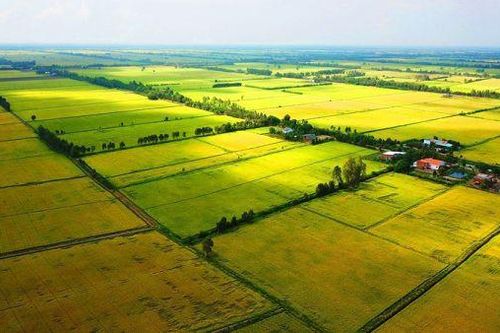 Chính phủ đề xuất miễn khoảng 7.500 tỷ đồng/năm thuế đất sử dụng đất nông nghiệp