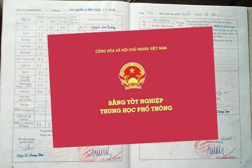 Cho thôi việc cán bộ dùng bằng tốt nghiệp 'lởm'
