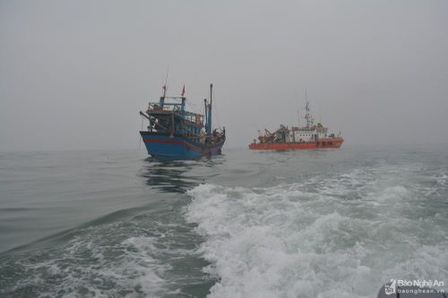 Tàu cá của ngư dân Nghệ An bị tàu hàng đâm chìm trên biển