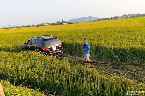 Mất lái, xe con lao xuống ruộng lúa