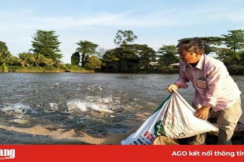 Giảm thiểu rủi ro của ngành hàng cá tra