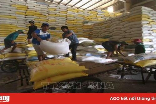 57 doanh nghiệp đăng ký xuất khẩu thành công hơn 65.700 tấn gạo