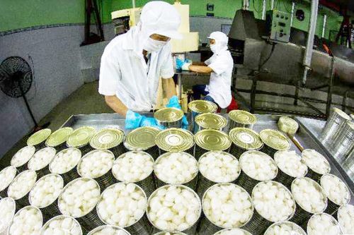 Nghệ sĩ Bùi Viết Đồng đoạt giải nhất cuộc thi ảnh Vẻ đẹp Việt Nam