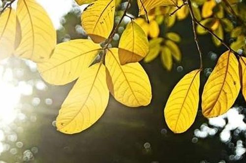 Miền Bắc nắng ấm, Nam Bộ và Tây Nguyên đề phòng mưa giông
