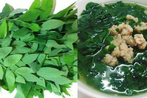 Nên dừng ăn rau ngót nếu bạn thuộc 1 trong 3 nhóm người có dấu hiệu sau đây