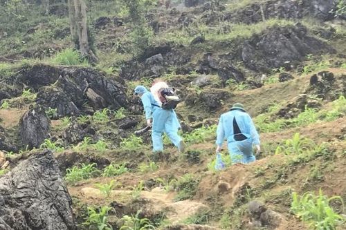 Kỳ tích bản lĩnh VIệt Nam