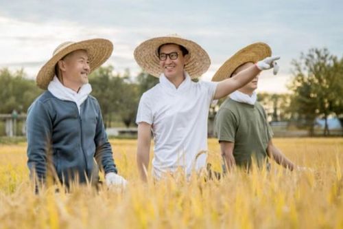 Nghệ sĩ Trung Quốc kiếm hàng triệu USD nhờ nuôi gà, trồng lúa