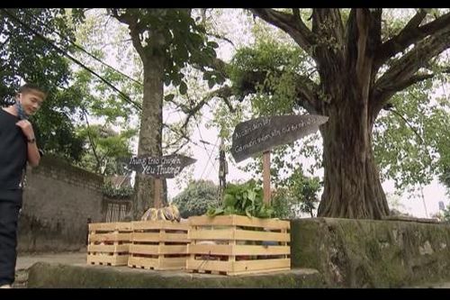 'Những ngày không quên' tập 19: Dương triển khai ý tưởng 'Thùng trao chuyển yêu thương' ở làng Yên