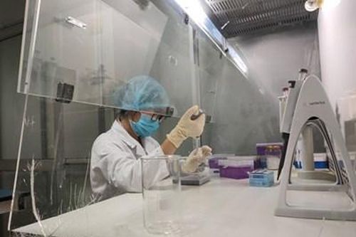 CHẤT XÁM CHO CUỘC SỐNG XANH