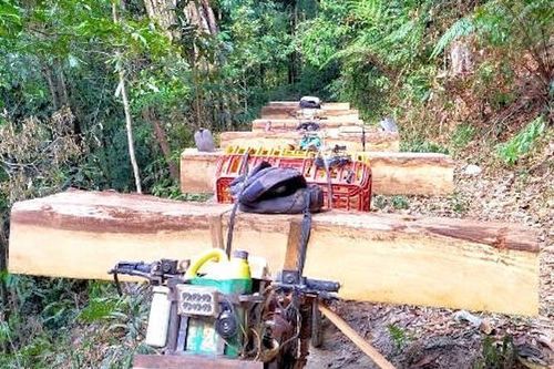 Công an vào cuộc vụ phá rừng tại Kon Tum