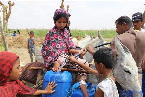 Liên hợp quốc cảnh báo khủng hoảng nhân đạo mới ở Yemen