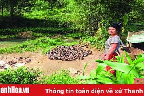 Thoát nghèo nhờ thay đổi tư duy