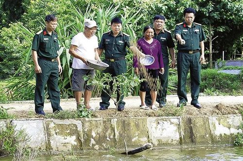 Hiệu quả các mô hình tăng gia sản xuất