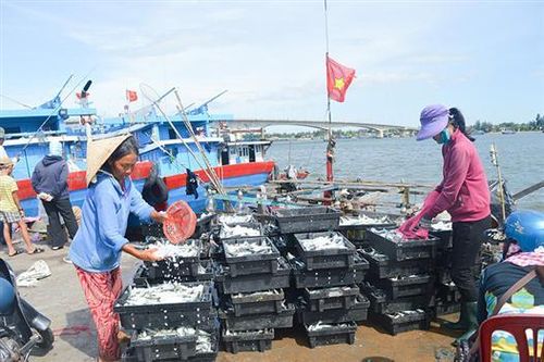 Ngày mới ở Cửa Việt