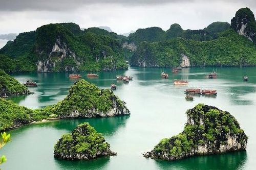 Quảng Ninh: Từ ngày 4/5, vịnh Hạ Long sẽ tổ chức đón khách trở lại