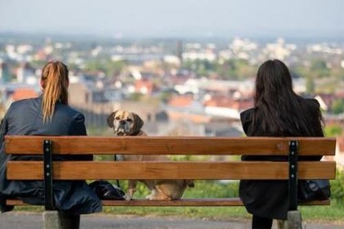 Đức kéo dài quy định gian cách xã hội đến ngày 10/5